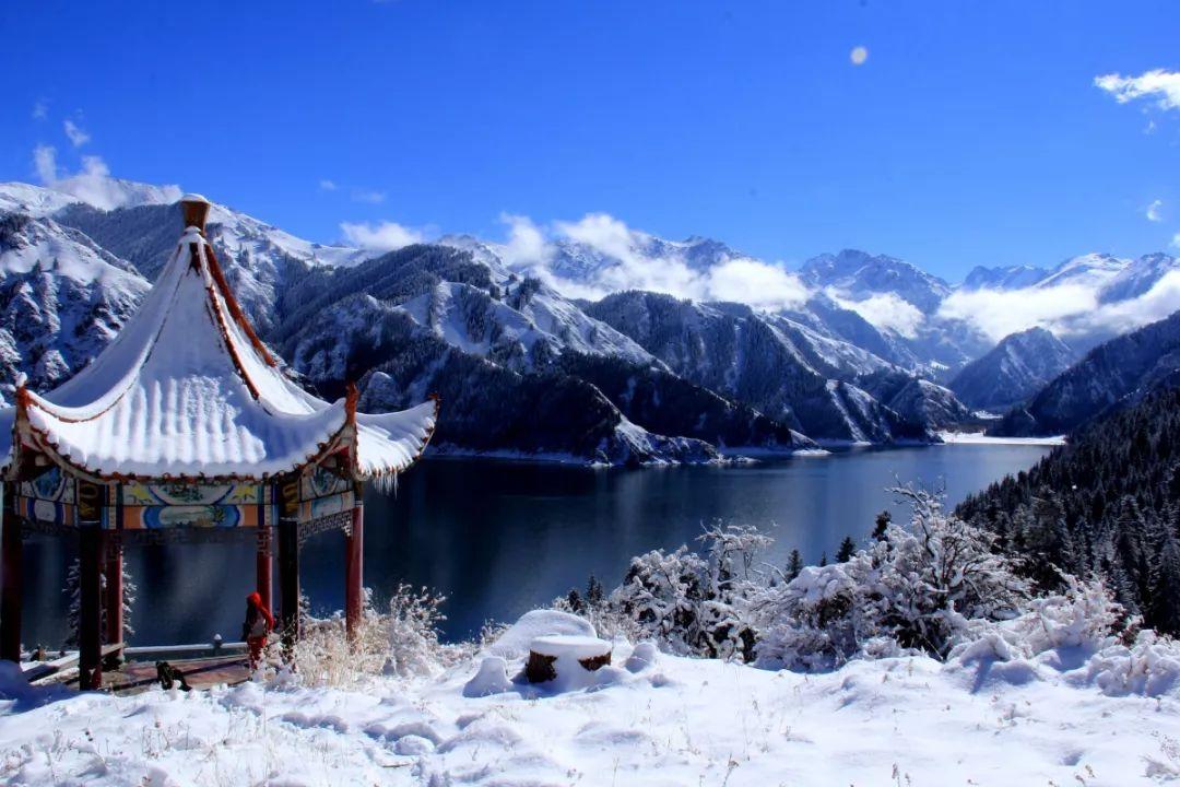 巧变同色